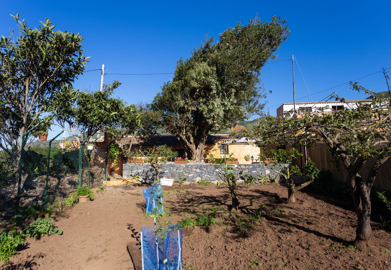 Casa rural en Buenavista del Norte - Home2Book Rustic House orchard +Wifi