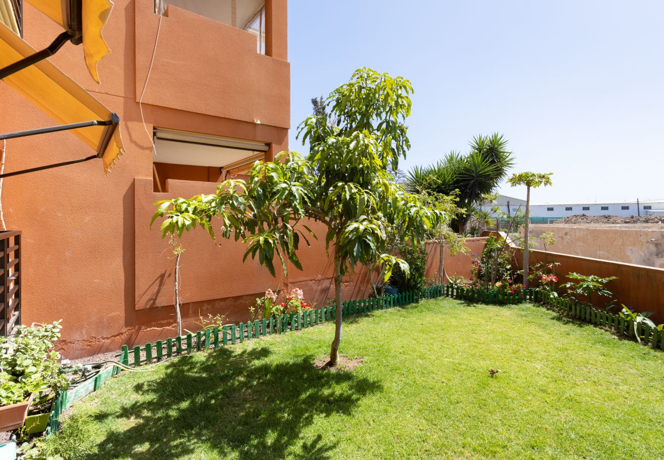 Apartamento en Granadilla de Abona - Home2Book Charming Garden&Pool Apt La Tejita Beach