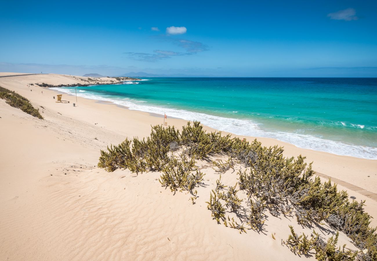 Apartamento en Fuerteventura - Home2Book Ático Sun & Beach