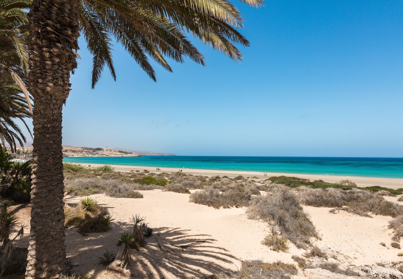 Apartamento en Fuerteventura - Home2Book Charming Attic Sun & Beach