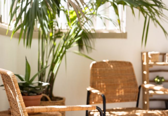 Apartamento en Santa Cruz de Tenerife - Home2Book Chic & Bright Apt Residencial Anaga