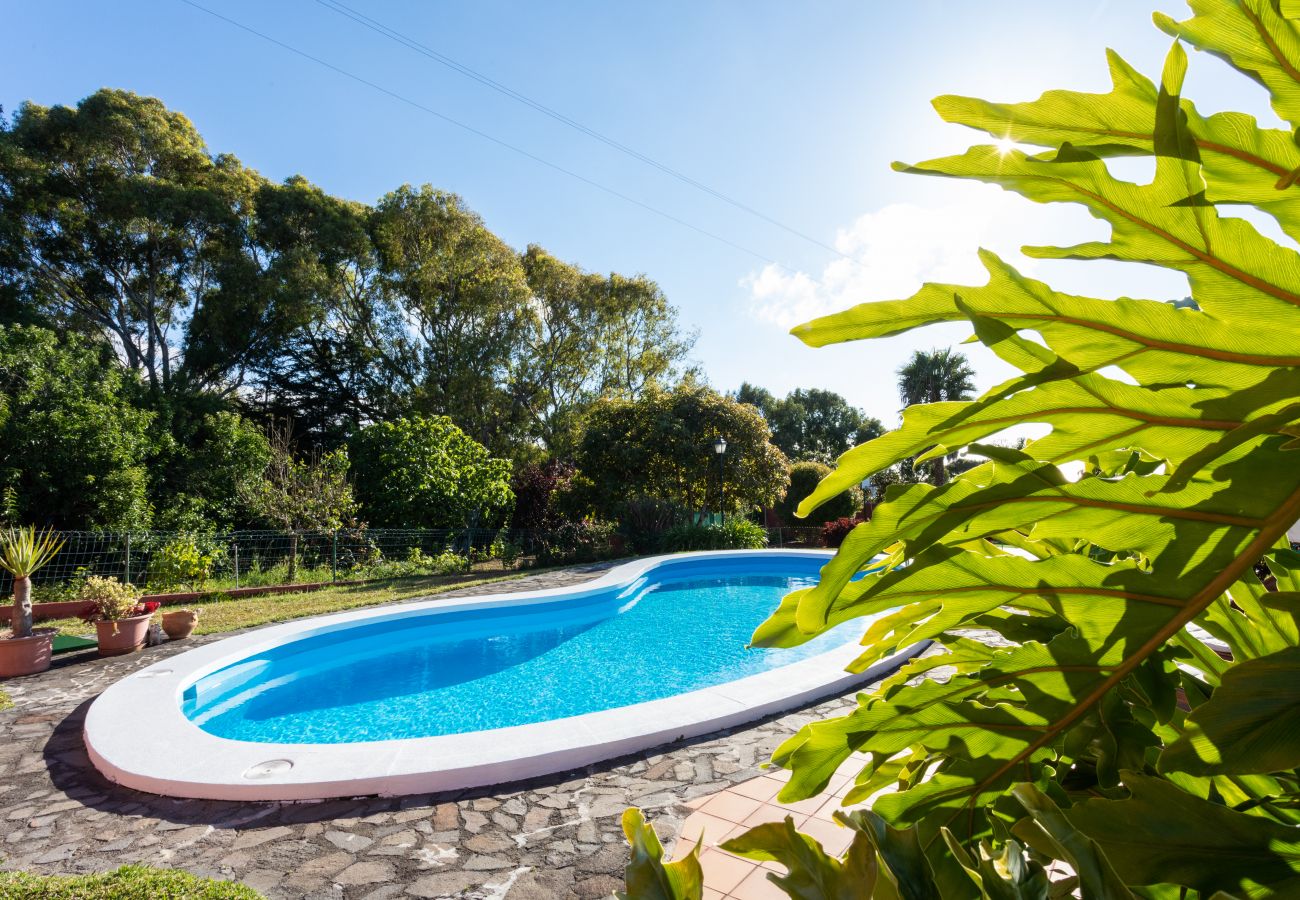 Villa in Tacoronte - Home2Book Luxury Villa Luna de Tacoronte Pool