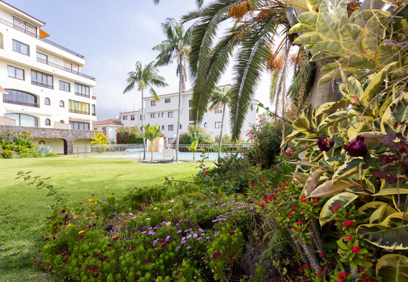Apartment in Puerto de la Cruz - Home2Book La Casita del Puerto, terrace & Pool