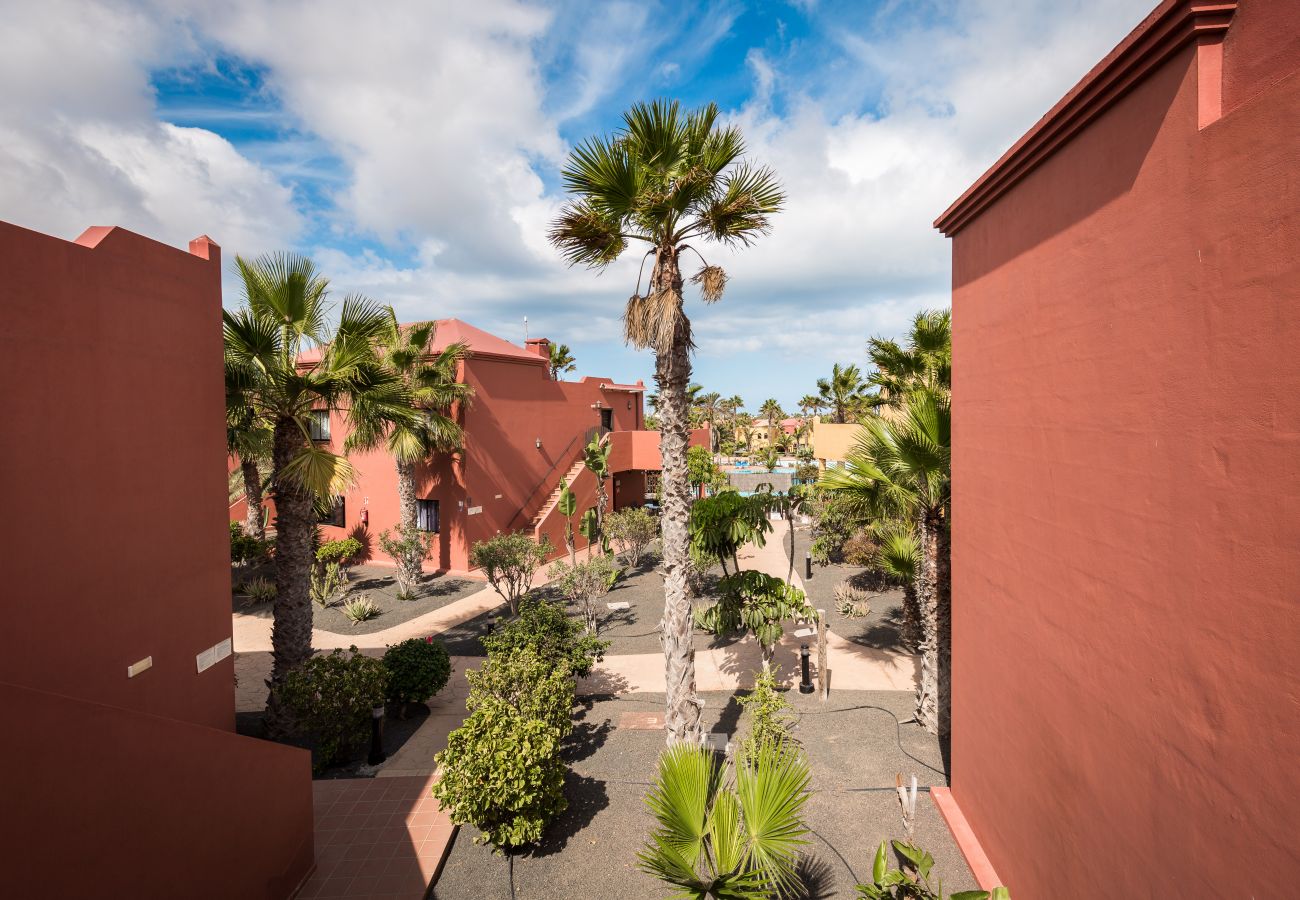 Apartment in Corralejo - Home2Book Oasis Paradise Home Fuerteventura