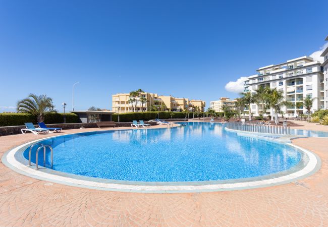 Apartment in San Miguel de Abona - Home2Book Abime Sunny Apartment Golf del Sur, Pool