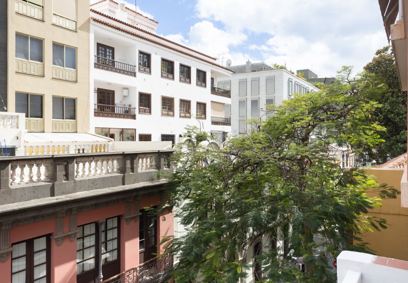 Apartment in Santa Cruz de Tenerife - Home2Book Modern & Centric Apt Santa Cruz, Terrace