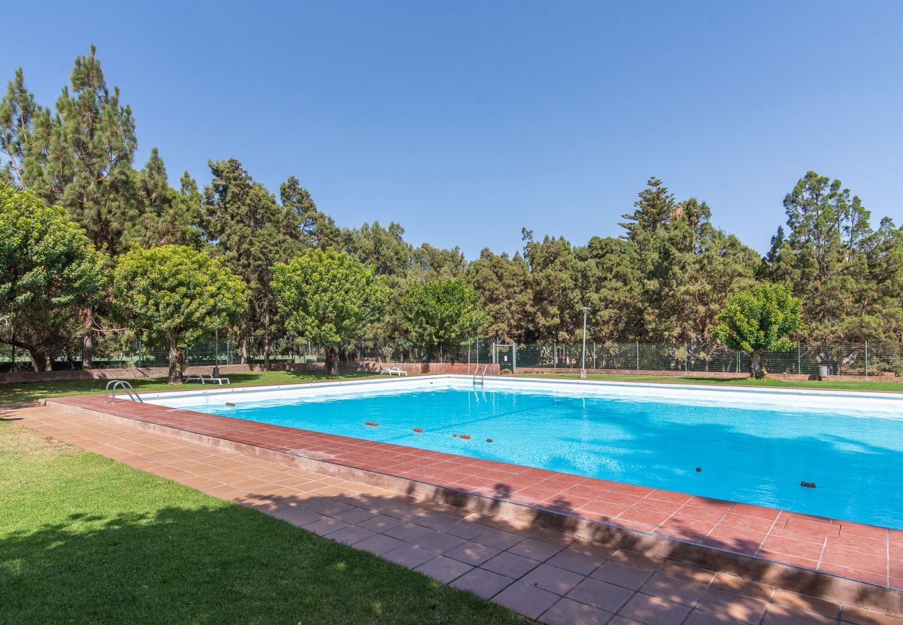 Villa in Valsequillo - Home2Book Villa El Naranjo, Garden & Pool