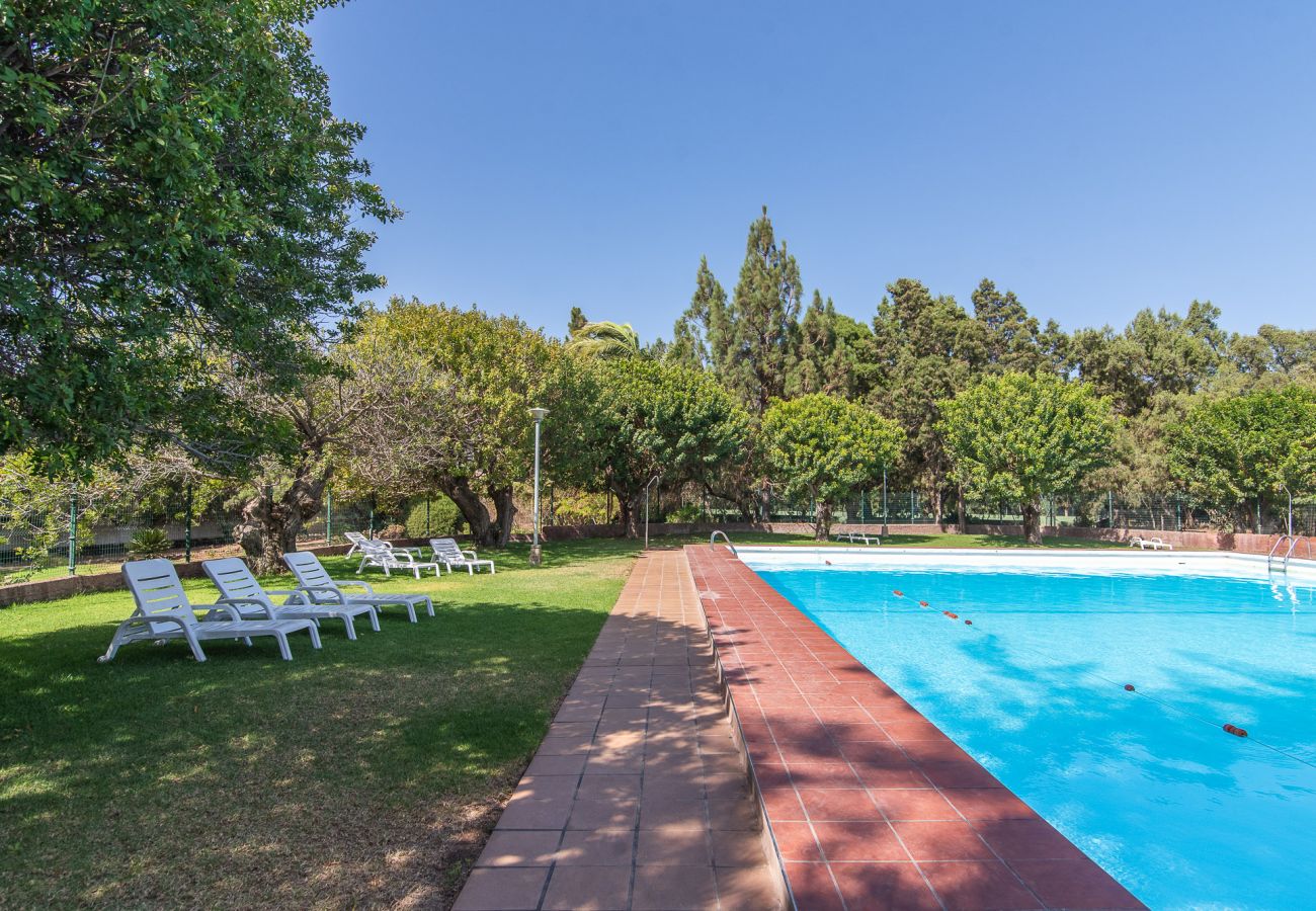 Villa in Valsequillo - Home2Book Villa El Naranjo, Garden & Pool