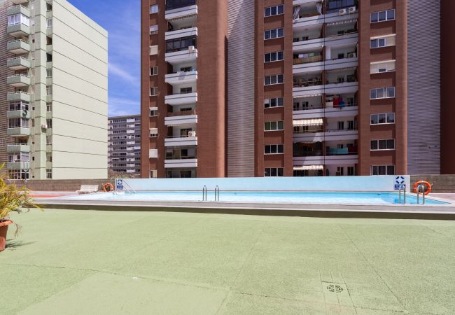Apartment in Santa Cruz de Tenerife - Home2Book Bright Apt & Communal Pool Santa Cruz